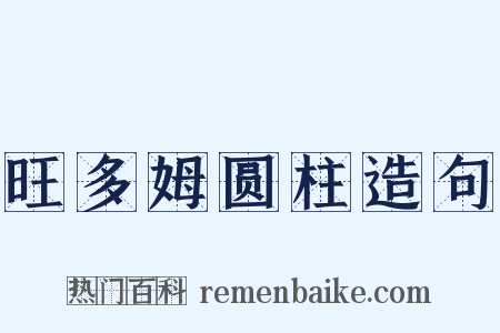 旺多姆圆柱造句是什么意思的图片